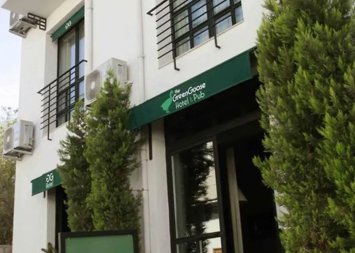 Panzió The Goose